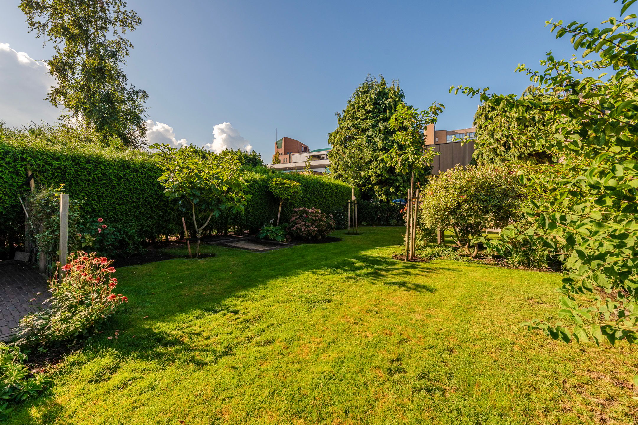 Foto 3 van Schoudermantel 14