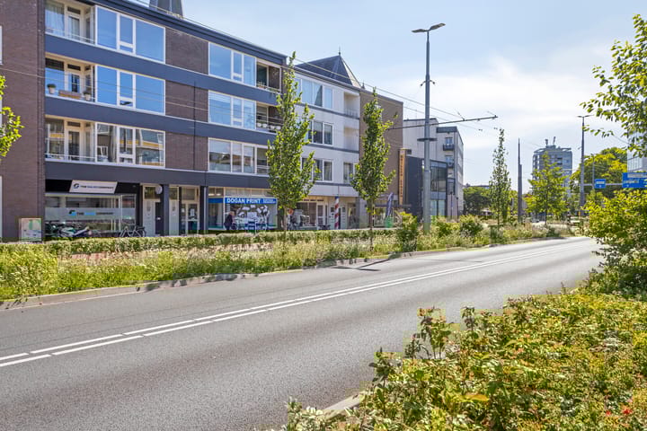 Ir J.P. van Muijlwijkstraat 58-3