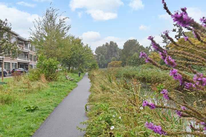 Foto 37 van Carel Reinierszkade 167