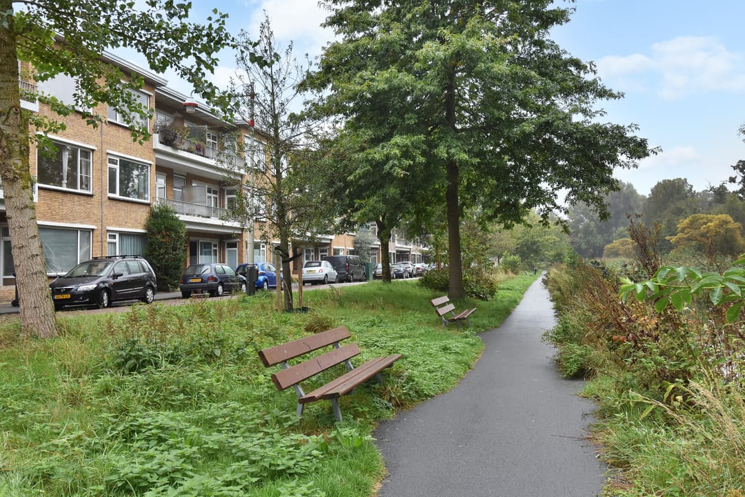 Foto 38 van Carel Reinierszkade 167