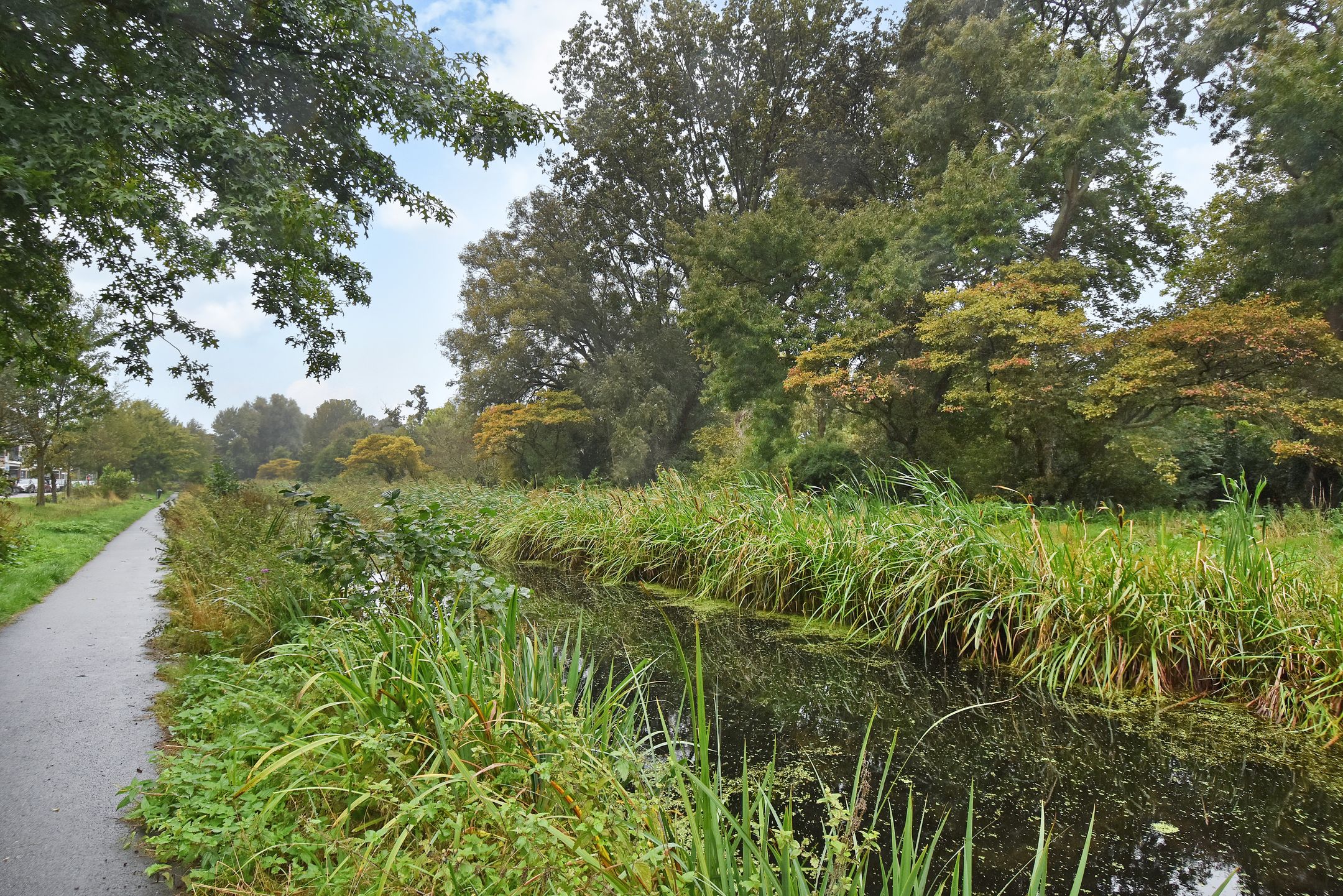 Foto 39 van Carel Reinierszkade 167