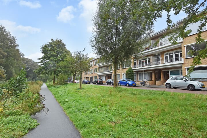 Foto 40 van Carel Reinierszkade 167