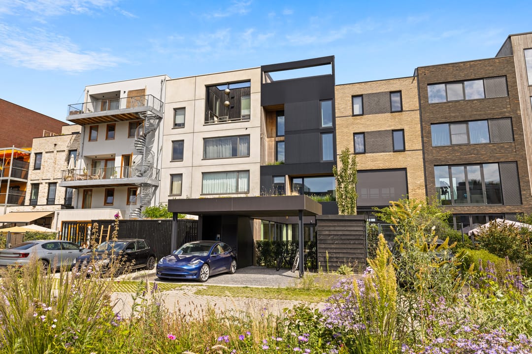 Photo 101 of Quashibastraat 44