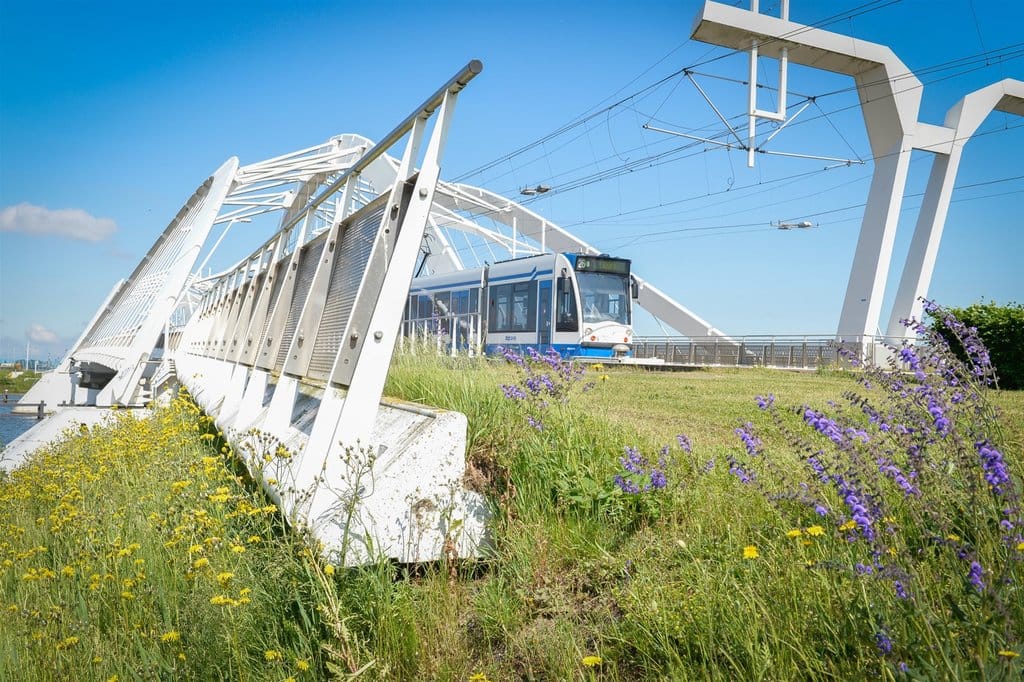 Photo 111 of Quashibastraat 44