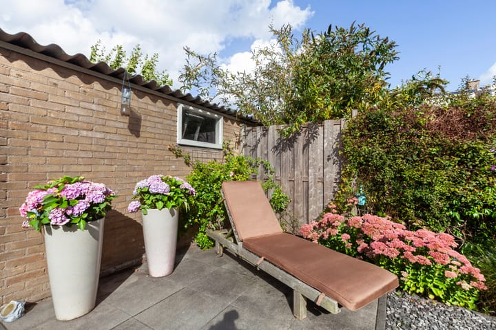 Foto 5 van Citroenkruid 3