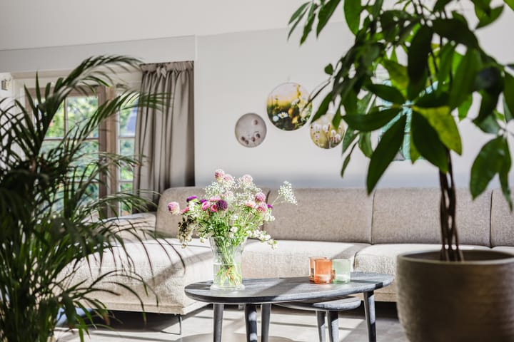 Foto 38 van Schoterlandseweg 33