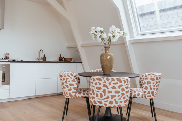 Foto 17 van Van Woustraat 58-4