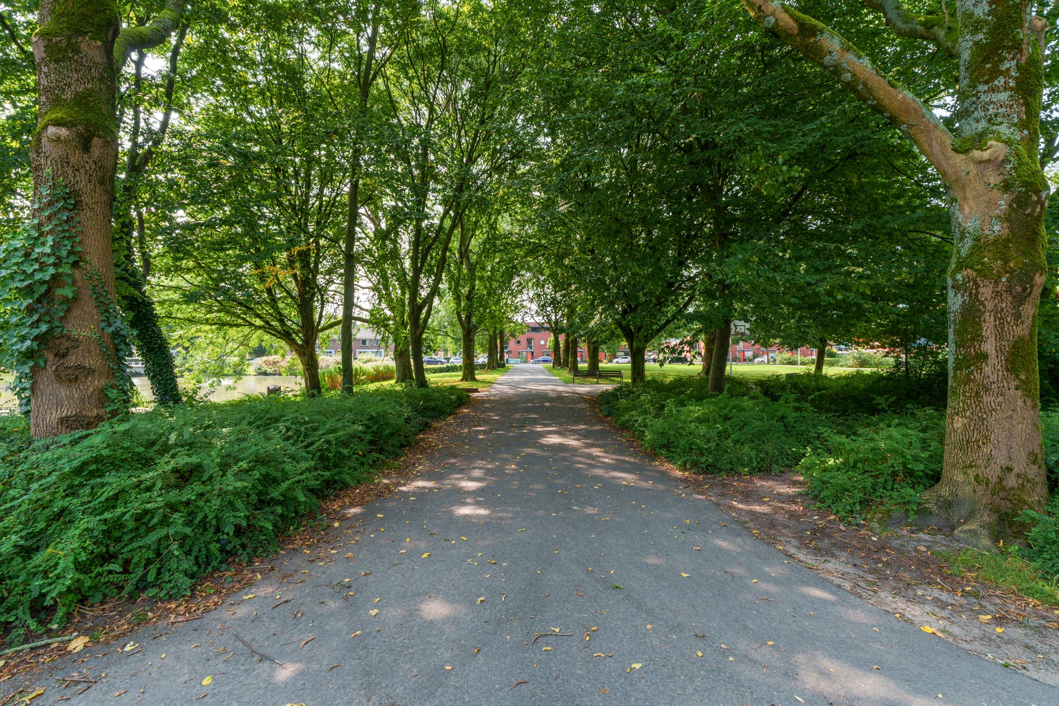 Foto 27 van Baron van Heemstrastraat 1-A