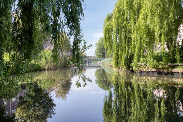 Foto 28 van Hoornstraat 26