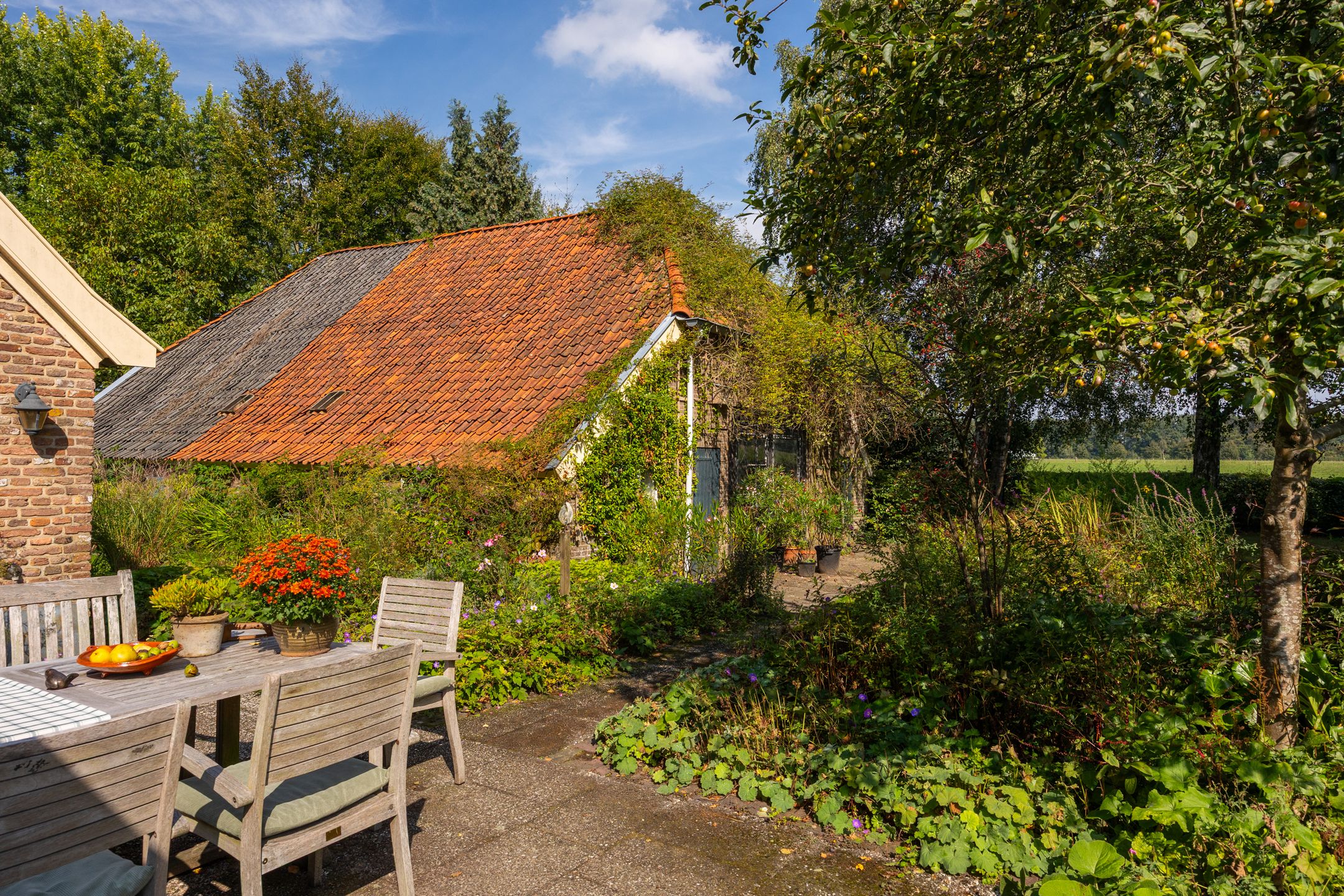 Foto 60 van Whemerweg 29