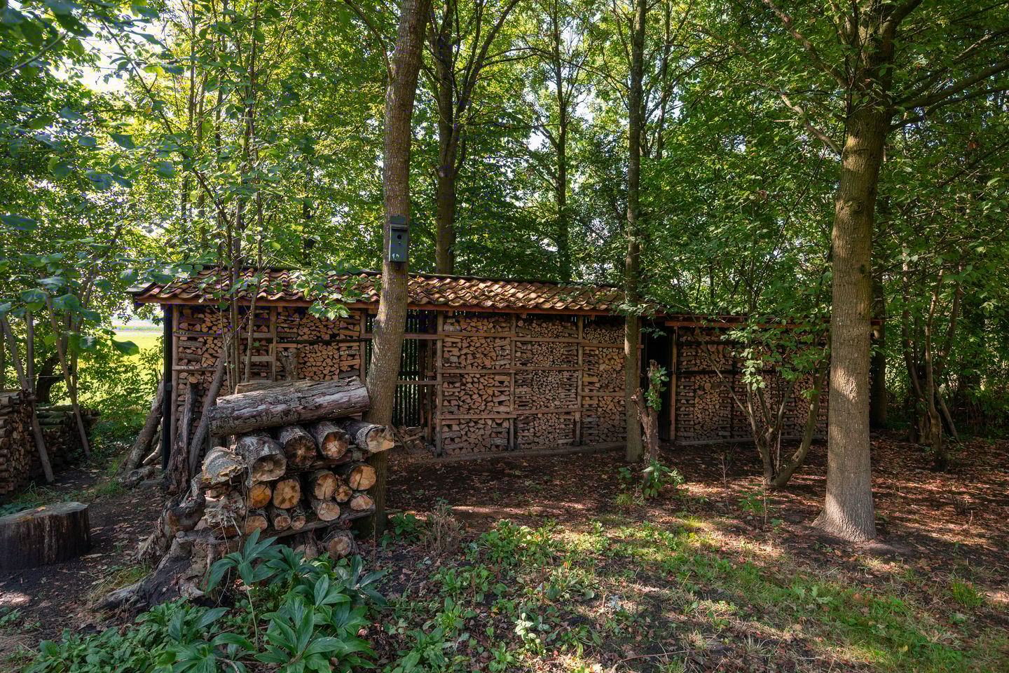 Foto 64 van Whemerweg 29