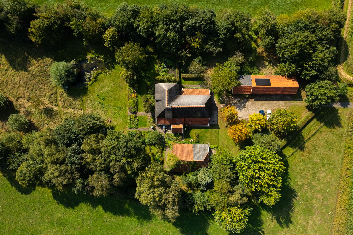 Foto 65 van Whemerweg 29