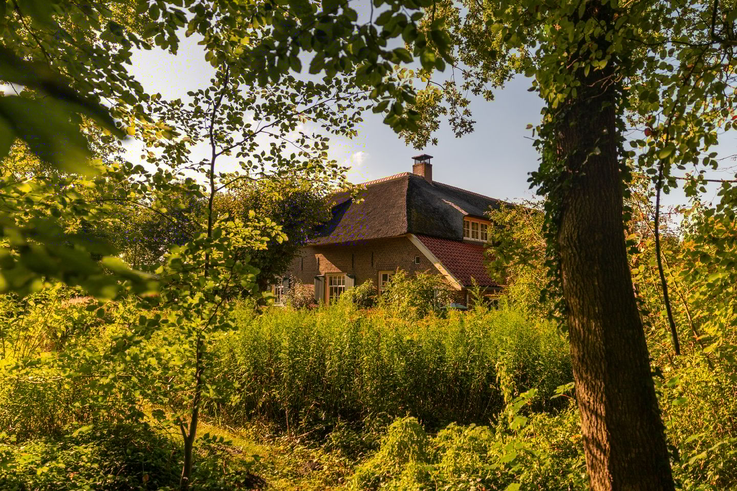 Foto 74 van Whemerweg 29