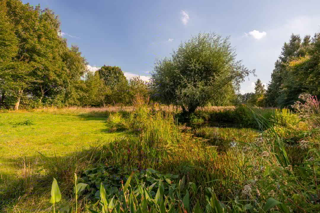 Foto 77 van Whemerweg 29