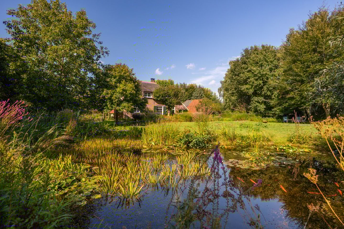 Foto 80 van Whemerweg 29