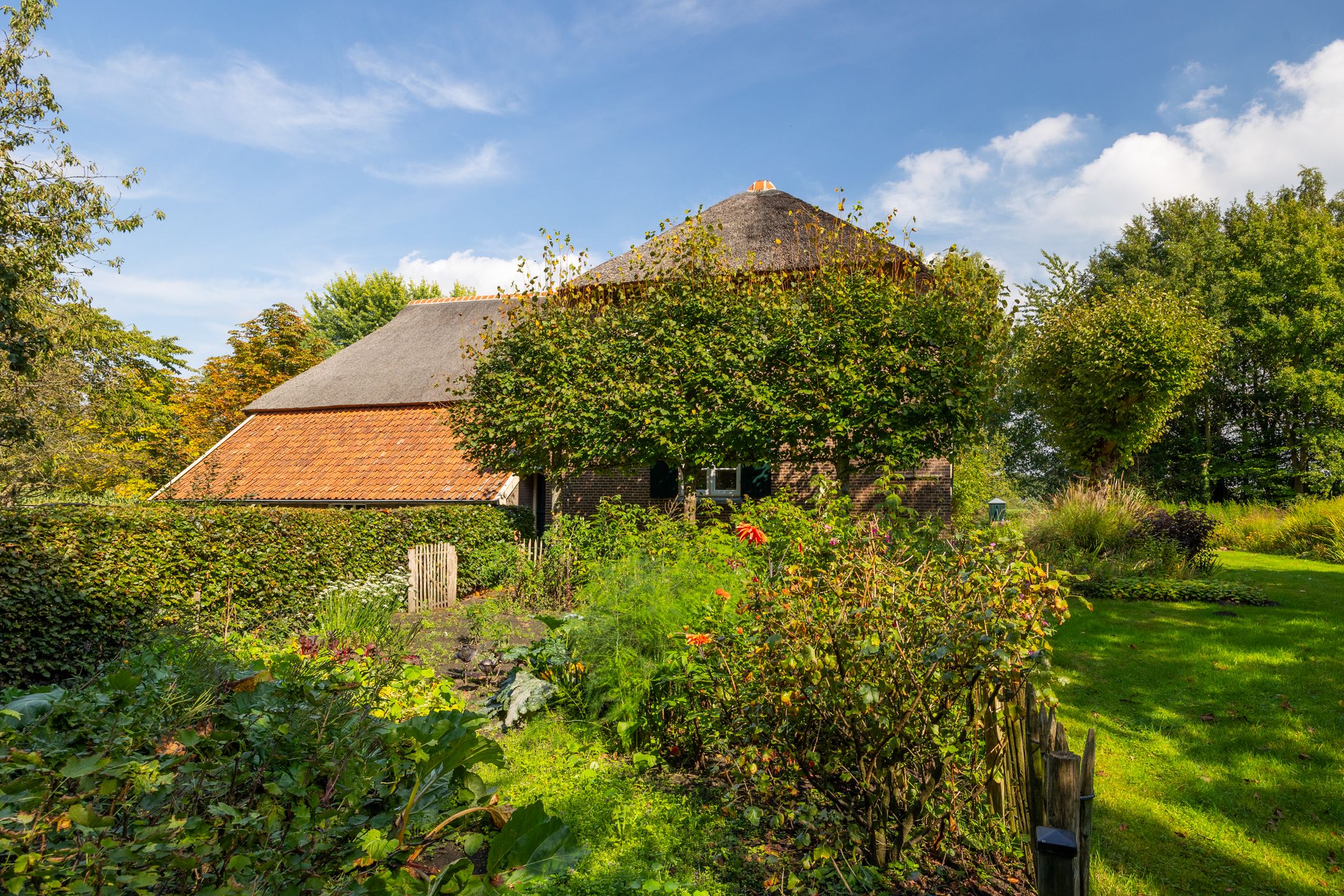 Foto 57 van Whemerweg 29