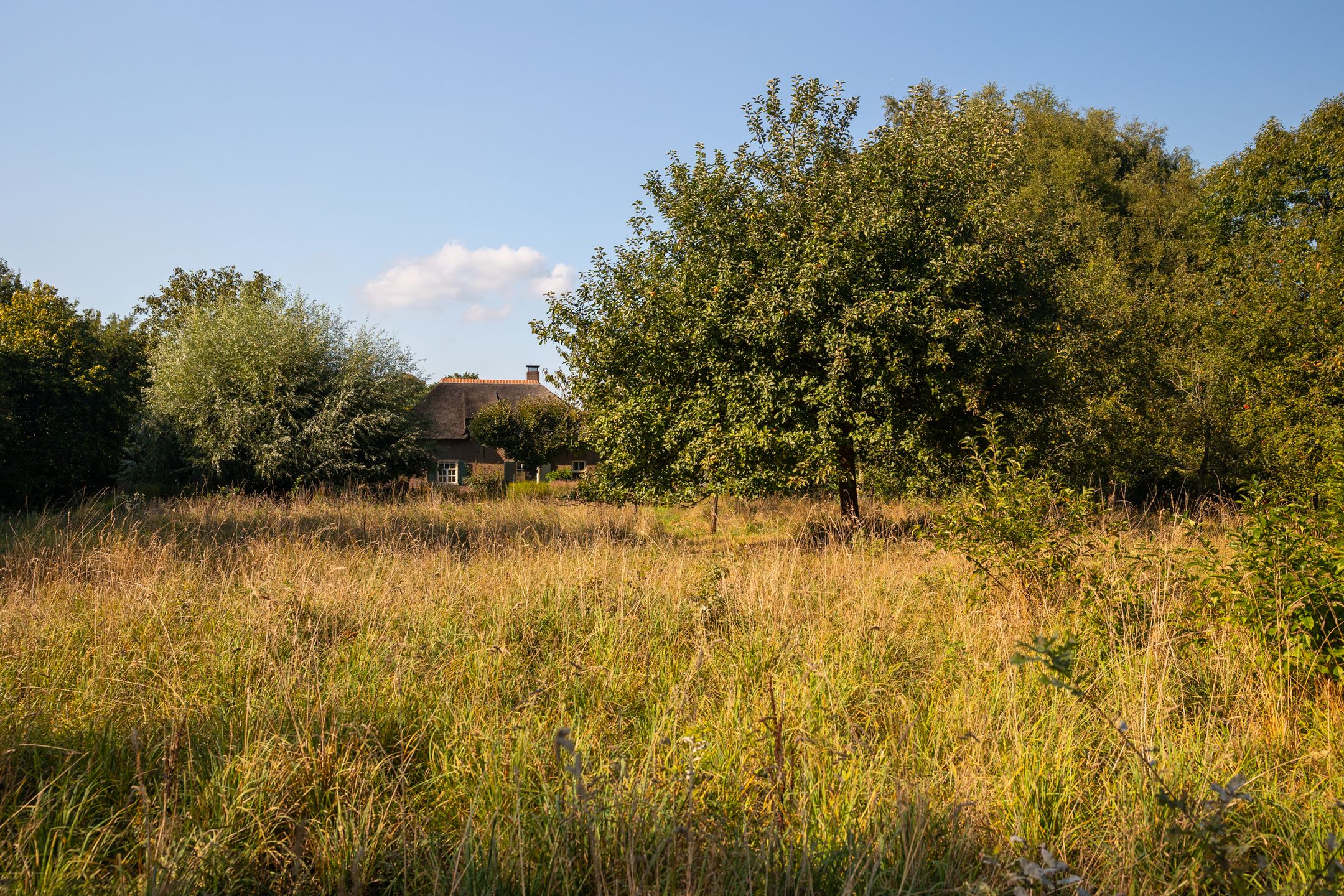 Foto 87 van Whemerweg 29