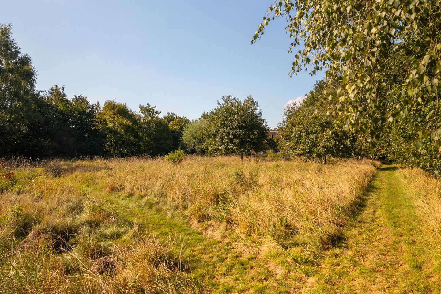 Foto 89 van Whemerweg 29