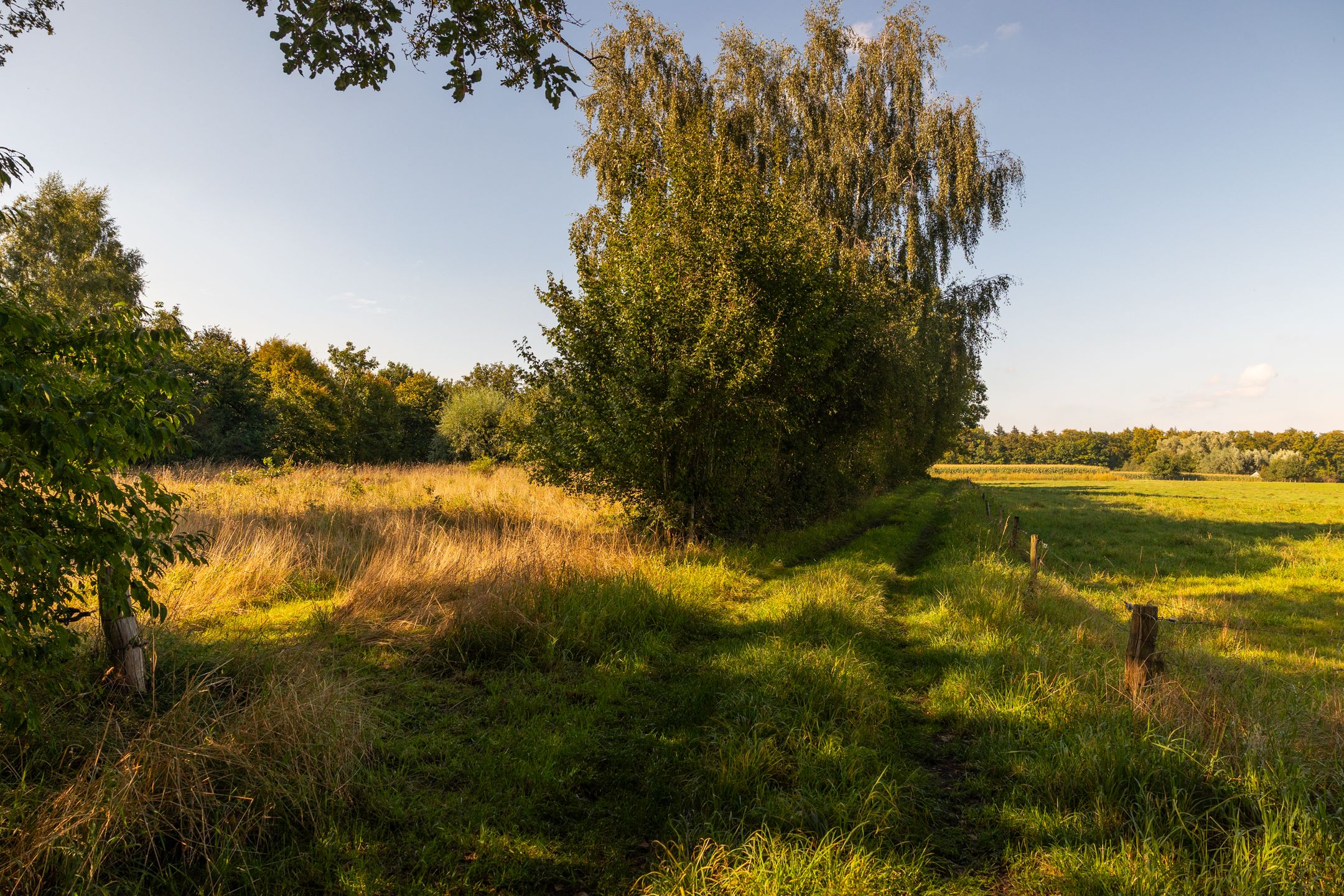 Foto 90 van Whemerweg 29