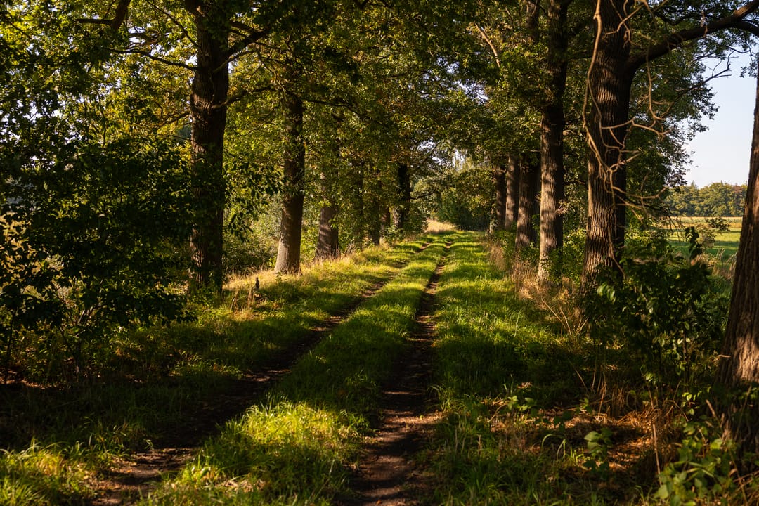 Foto 91 van Whemerweg 29