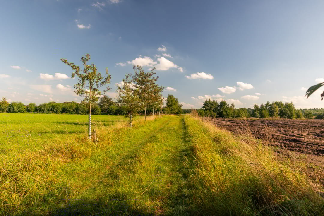 Foto 92 van Whemerweg 29