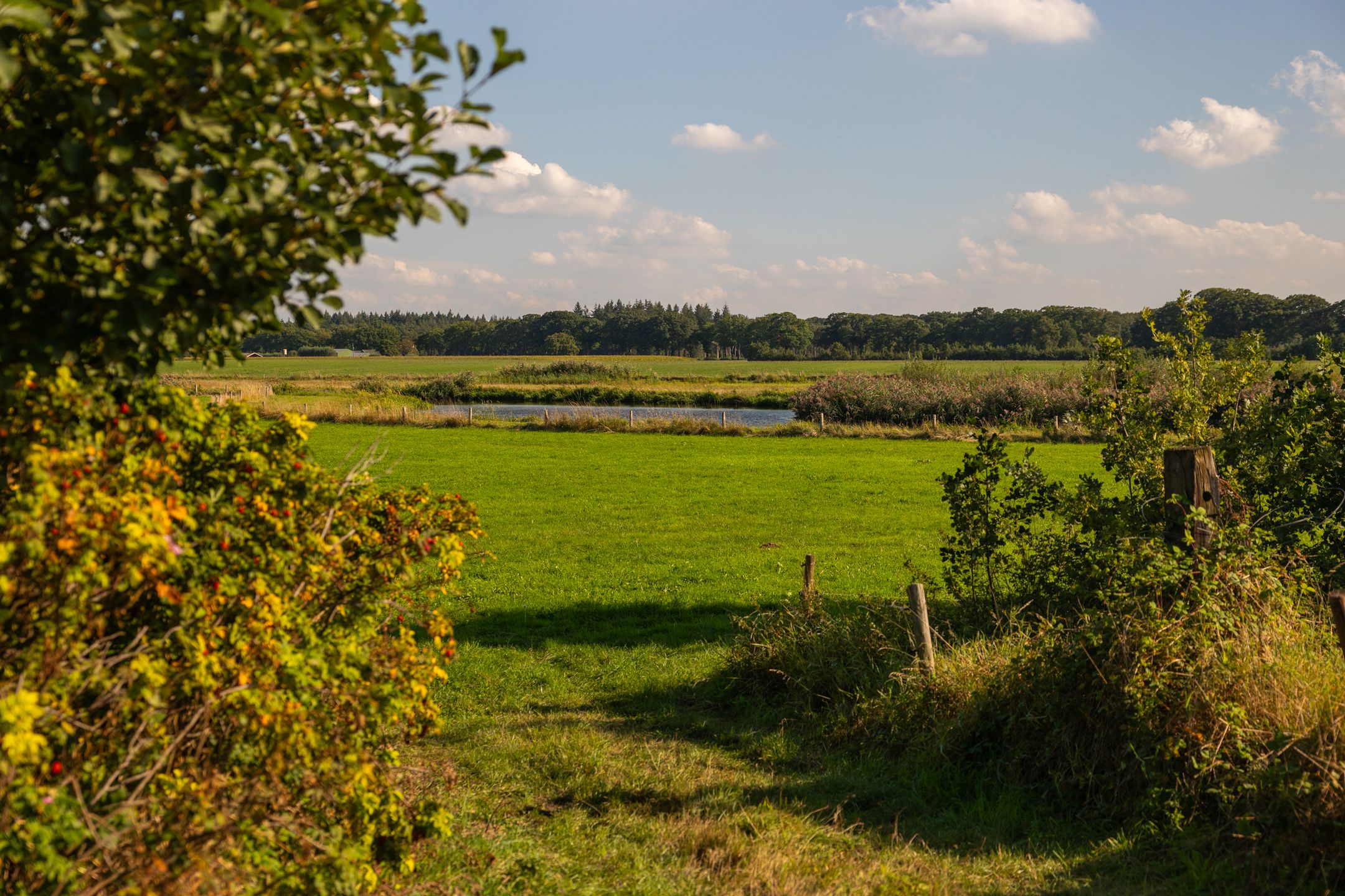 Foto 93 van Whemerweg 29