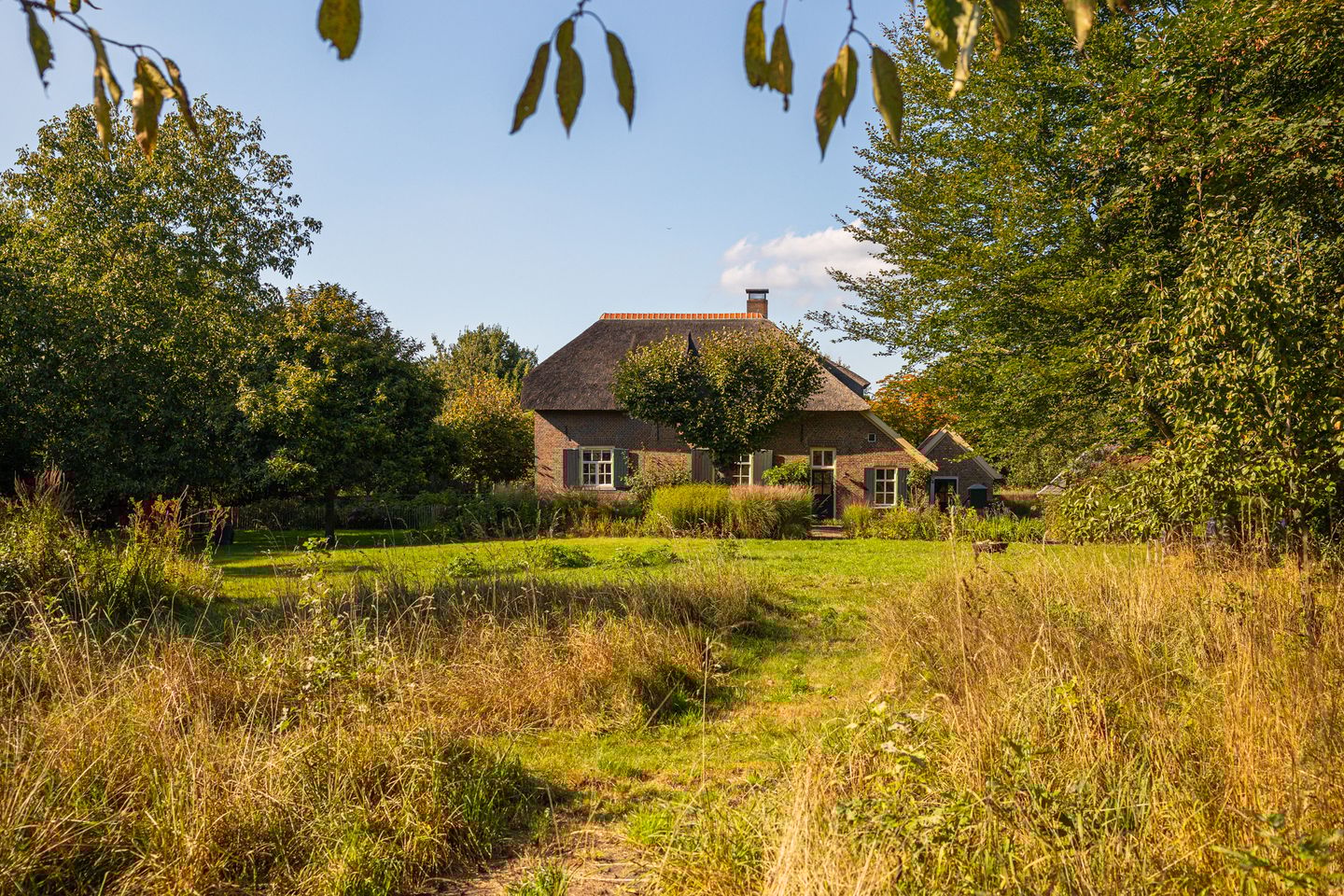 Foto 95 van Whemerweg 29