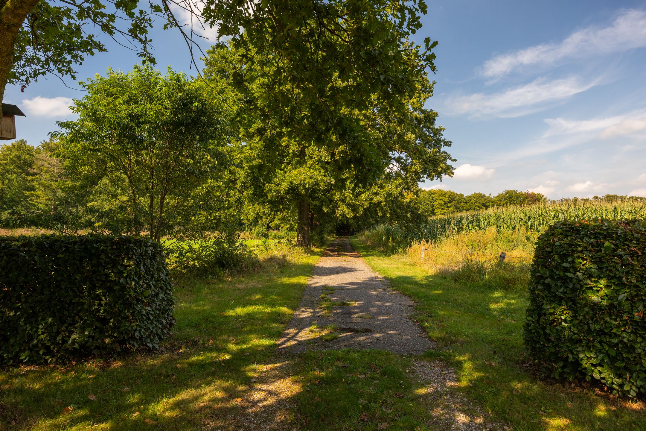 Foto 96 van Whemerweg 29