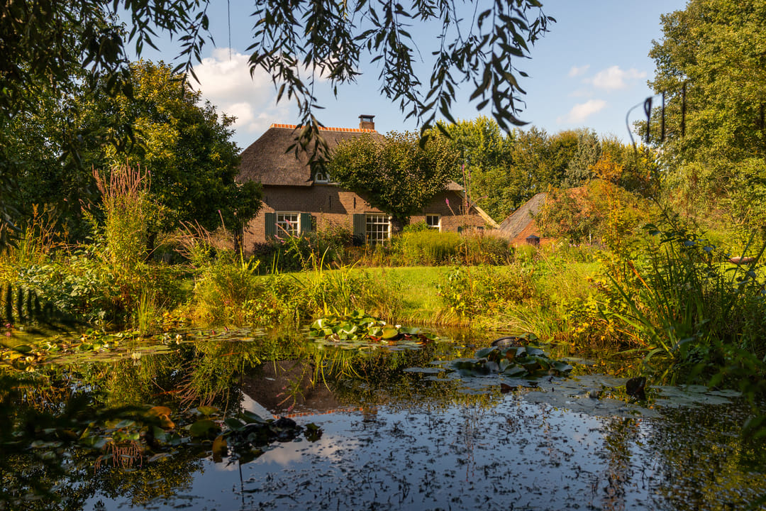 Foto 97 van Whemerweg 29