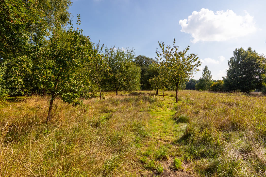 Foto 88 van Whemerweg 29