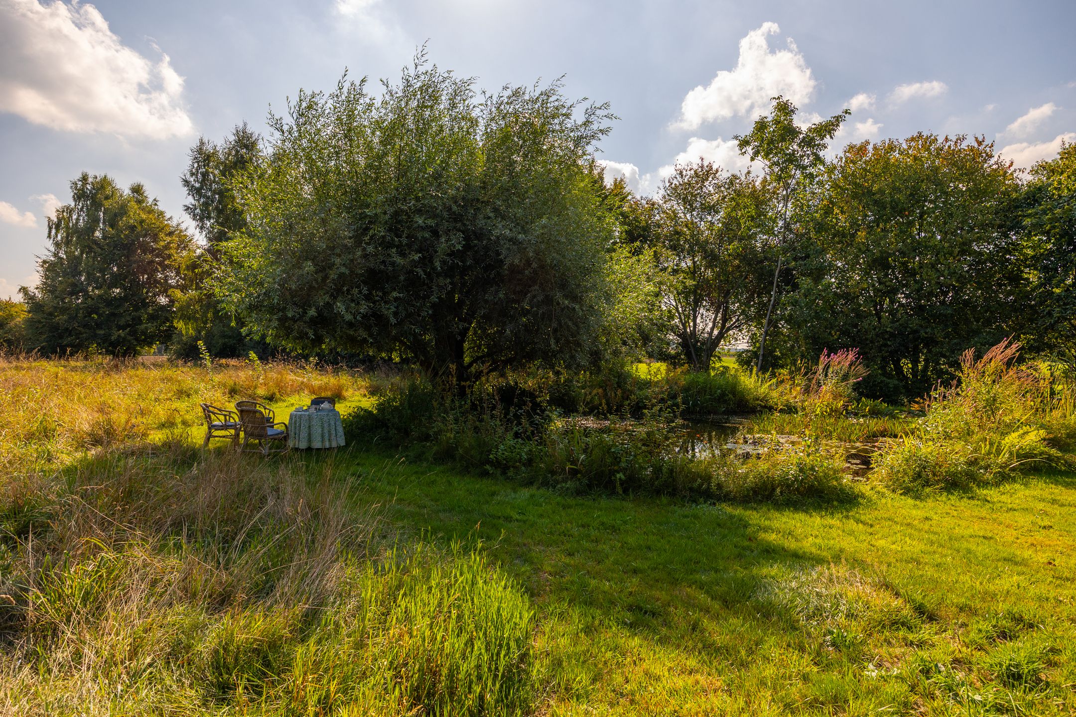 Foto 78 van Whemerweg 29