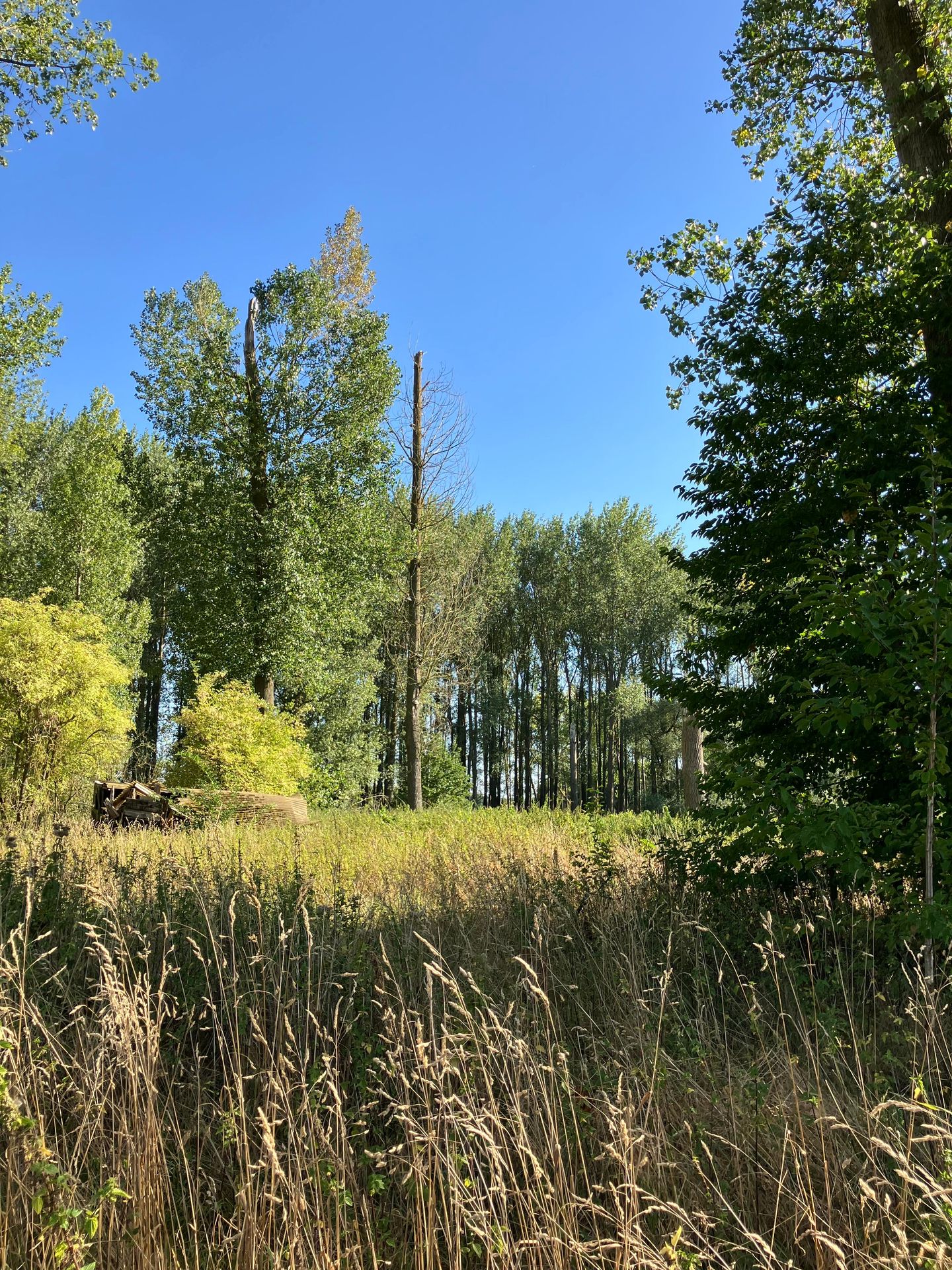 View photo 2 of Bondersweg