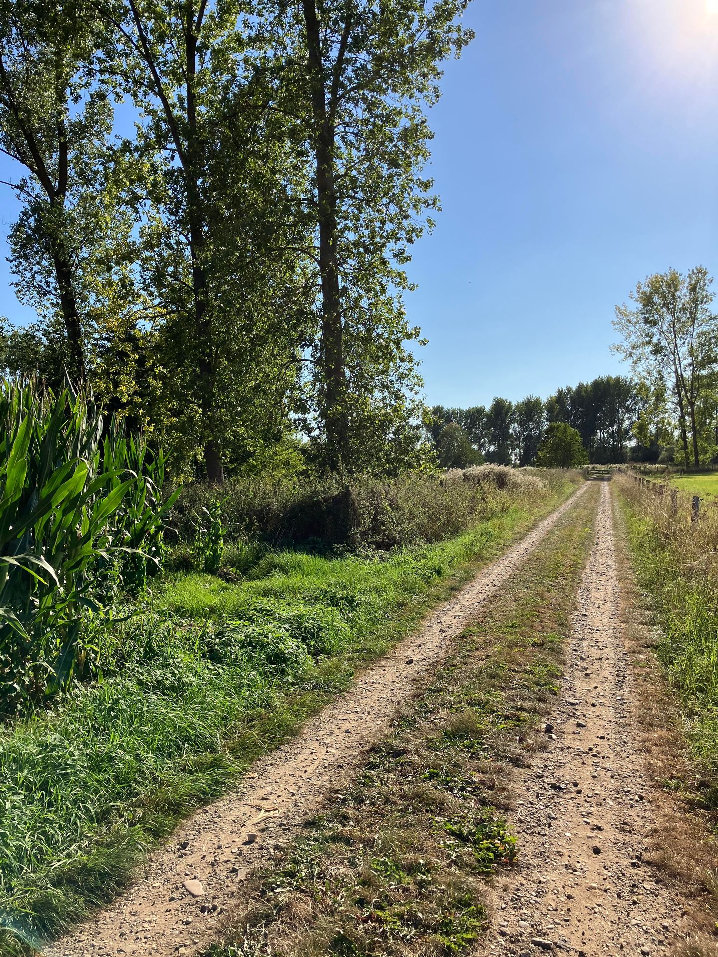 View photo 3 of Bondersweg