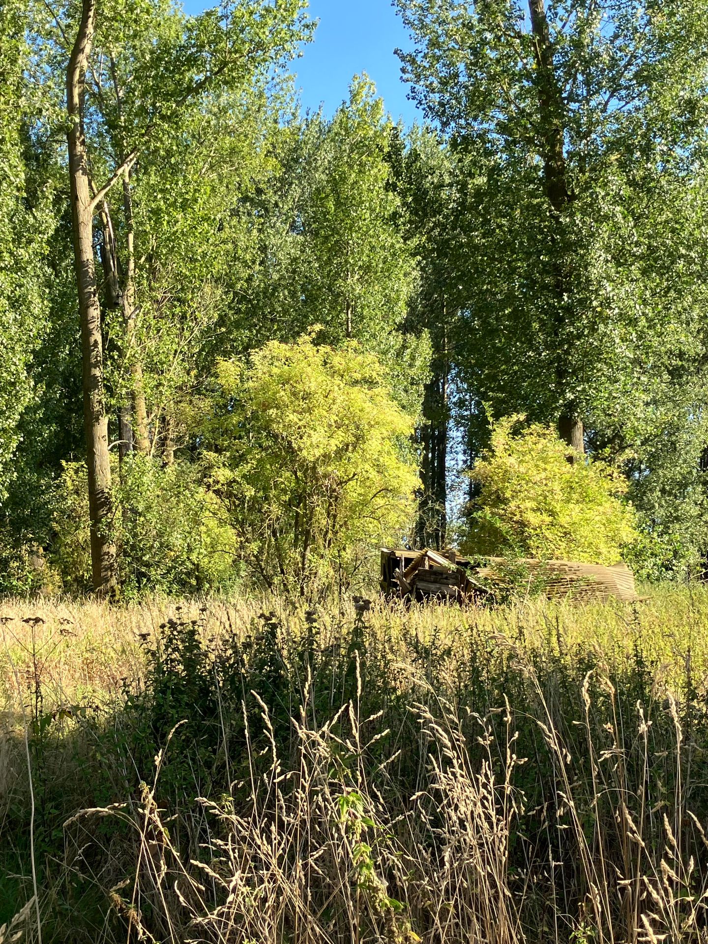 View photo 5 of Bondersweg