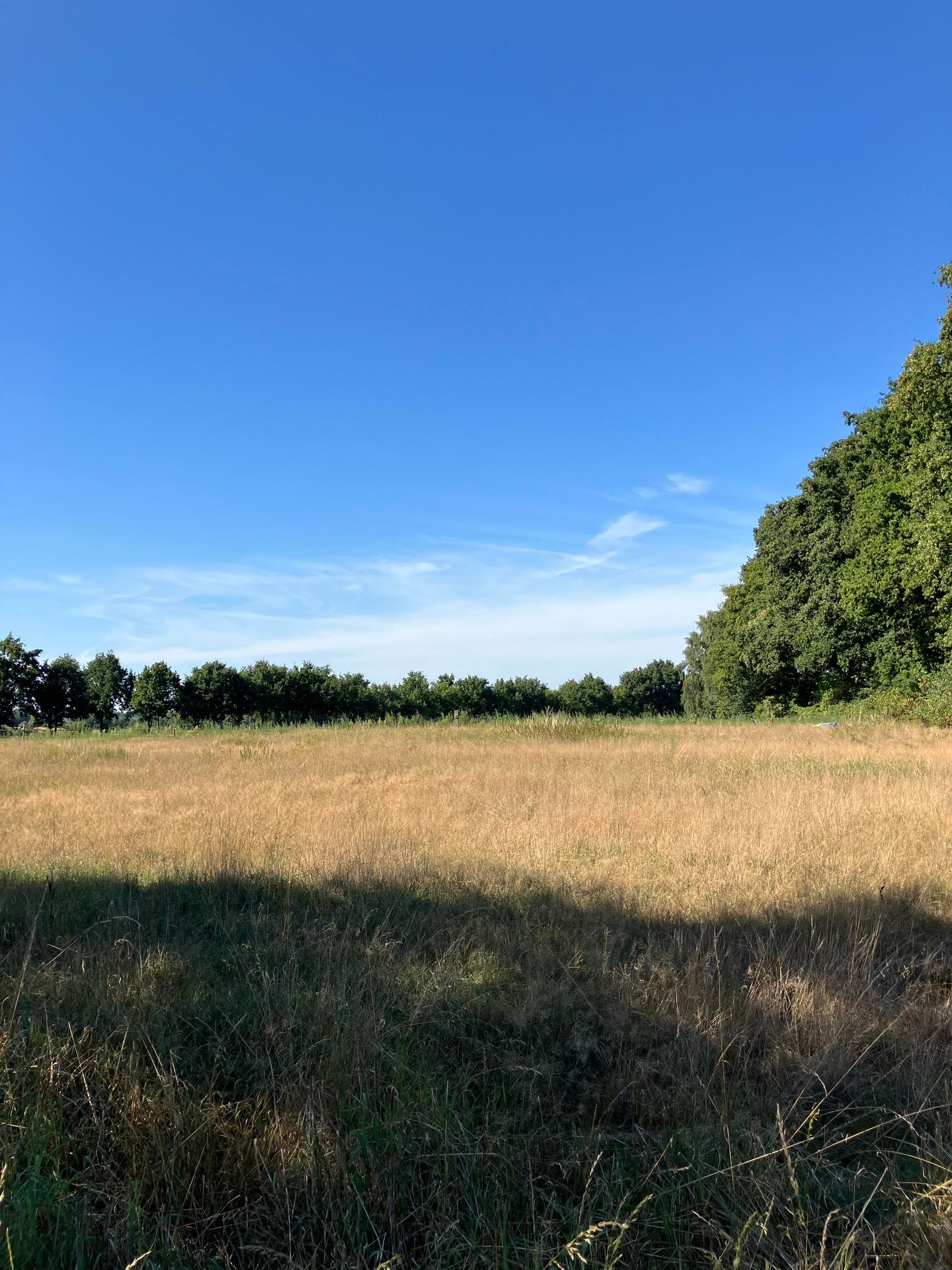 Bekijk foto 5 van Smeelenbergerpad