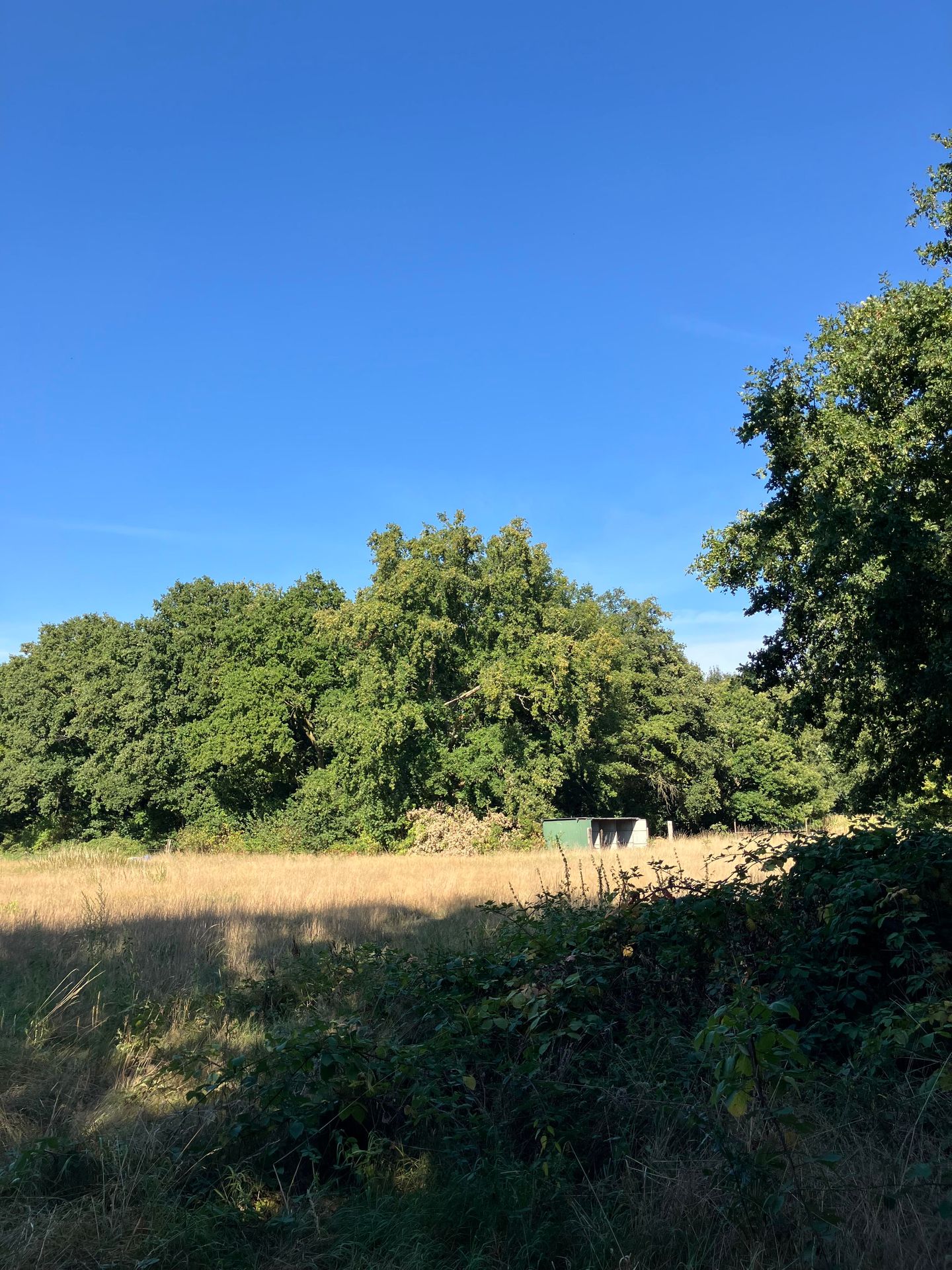 Bekijk foto 4 van Smeelenbergerpad