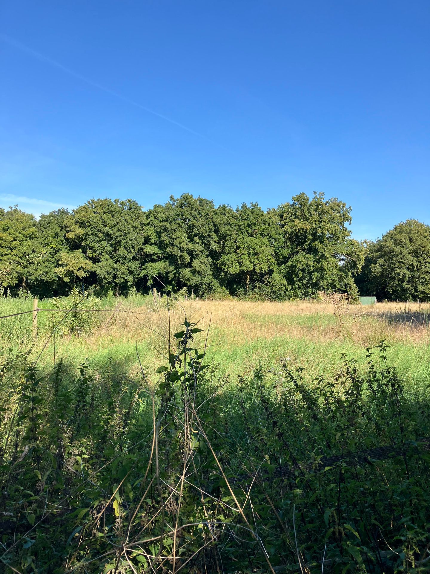 Bekijk foto 2 van Smeelenbergerpad