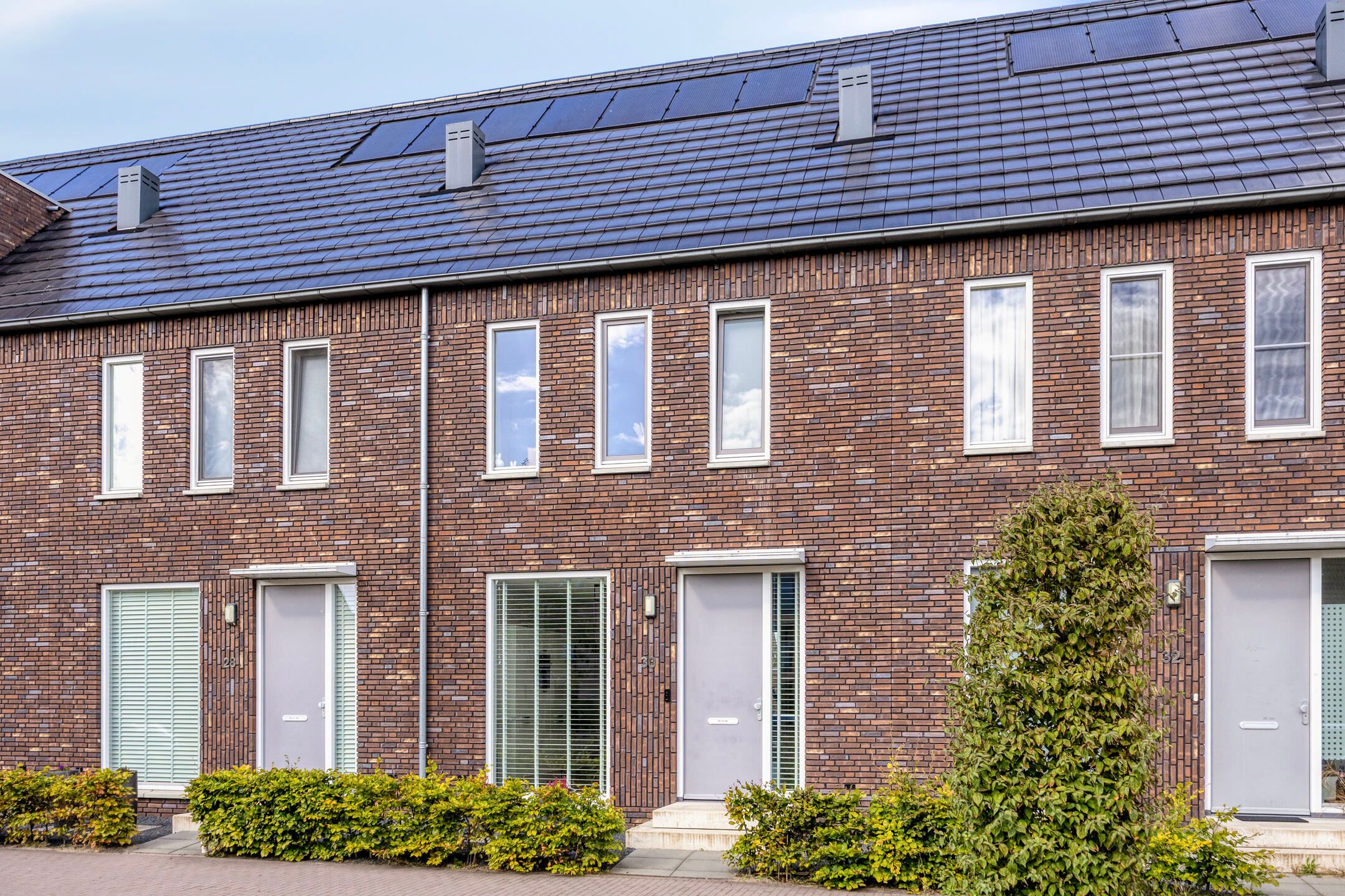 Photo 30 of Lunersingel 30