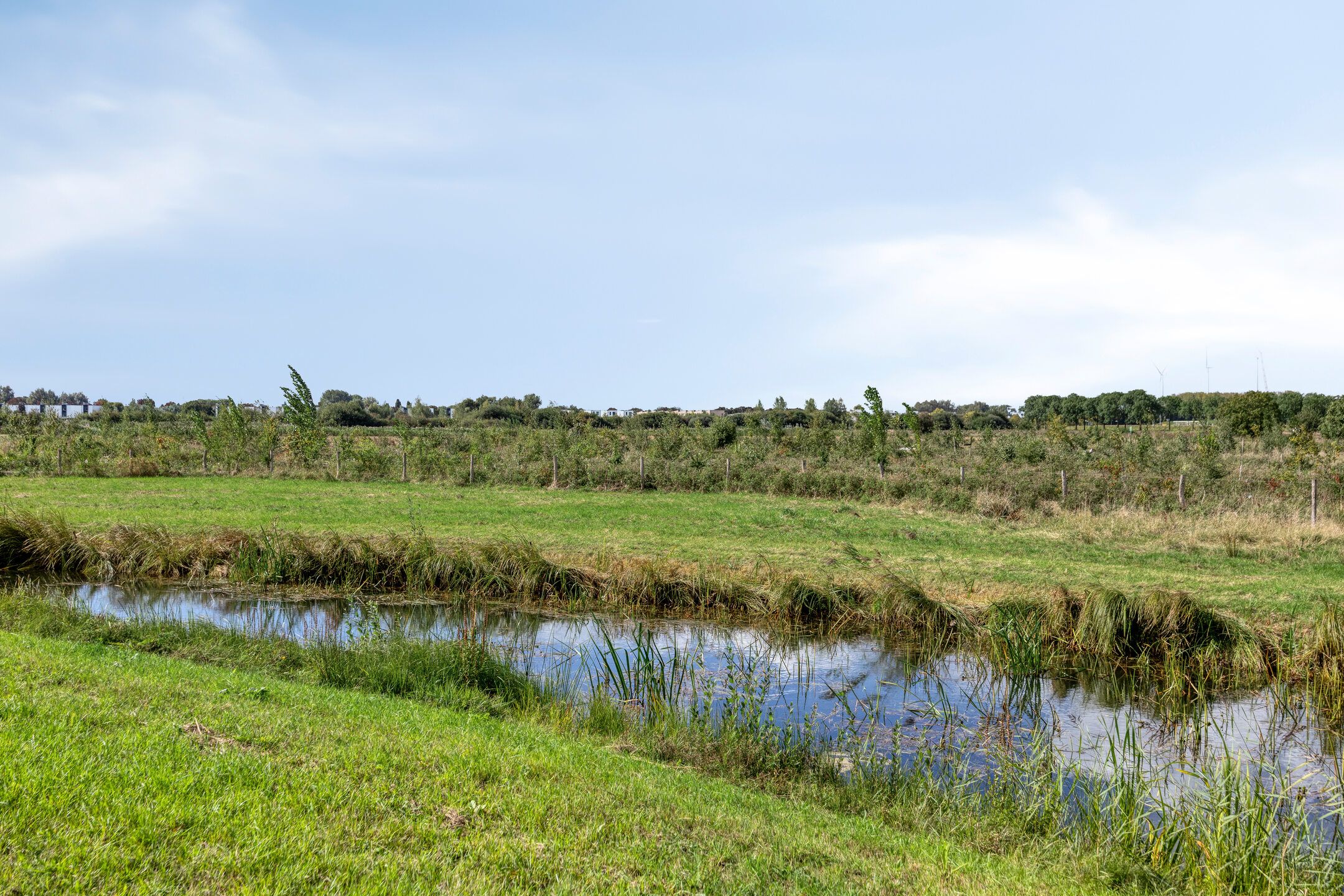 Photo 33 of Lunersingel 30