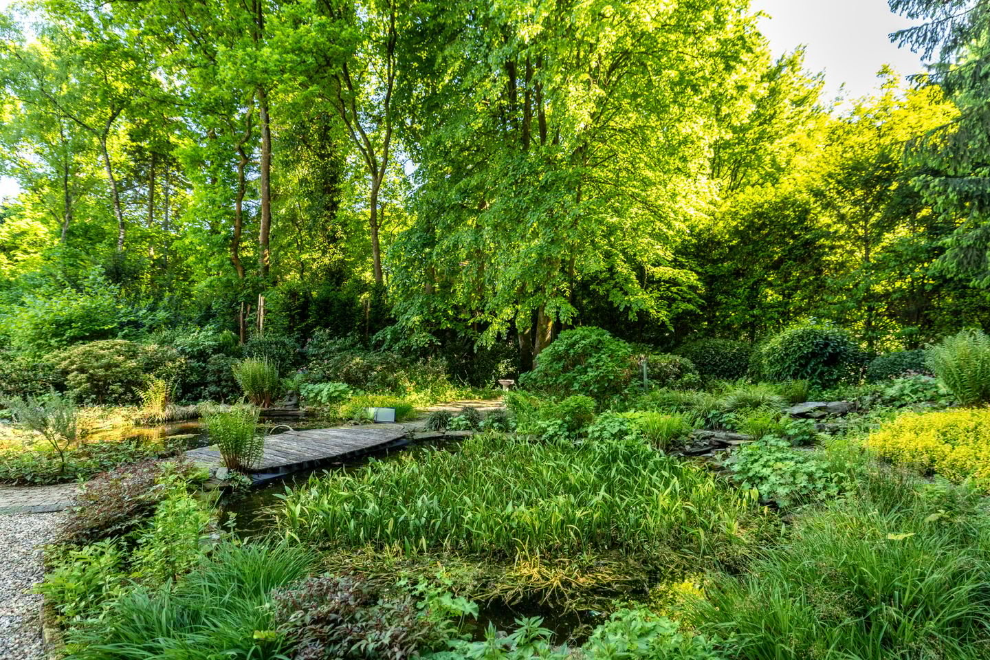 Photo 10 of Stobbeweg 4