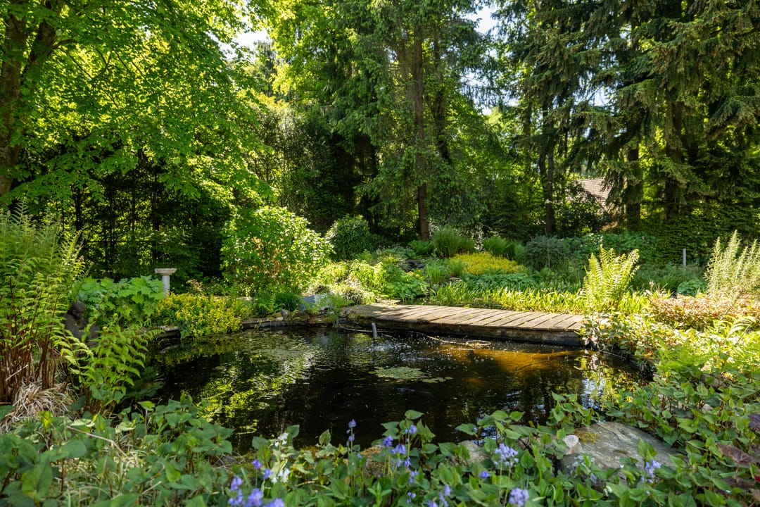 Photo 52 of Stobbeweg 4