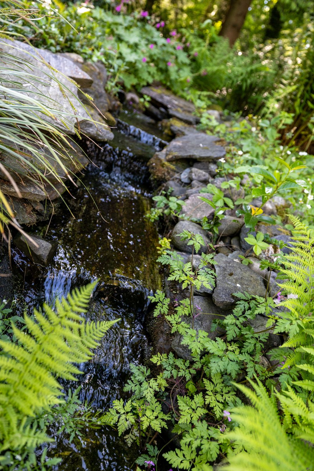 Photo 53 of Stobbeweg 4