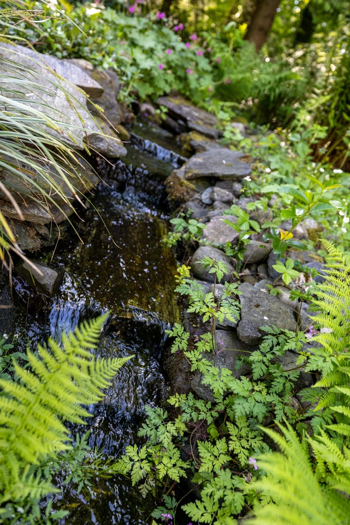 Photo 53 of Stobbeweg 4