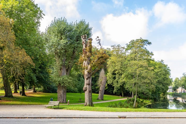 Foto 23 van Nieuwe Boteringestraat 25-A