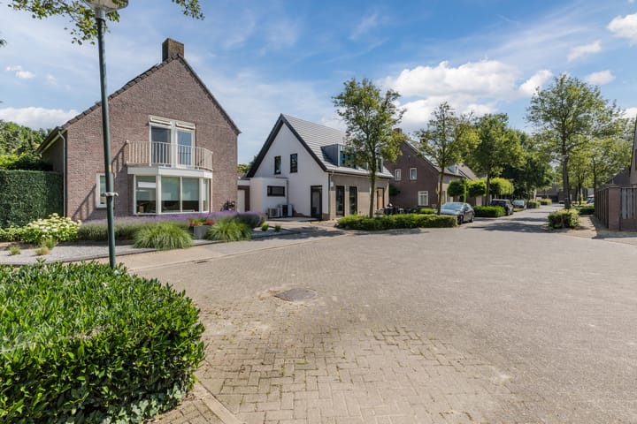 Photo 51 of Hoefblad 44