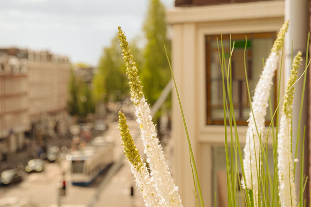 Foto 7 van Bilderdijkstraat 140-3