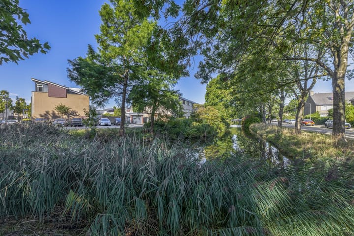 Foto 45 van Botterstraat 54