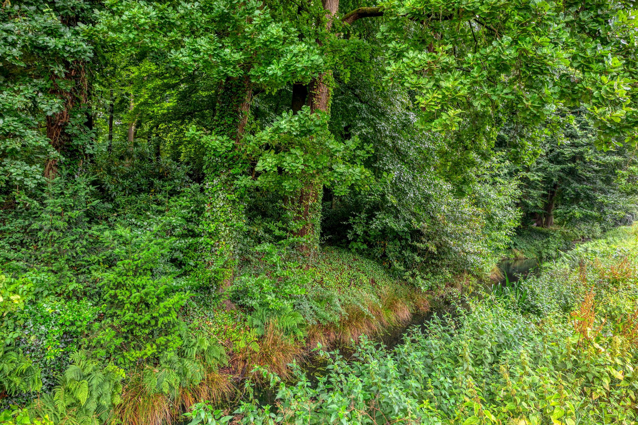 Foto 30 van Randenbroekerweg 164