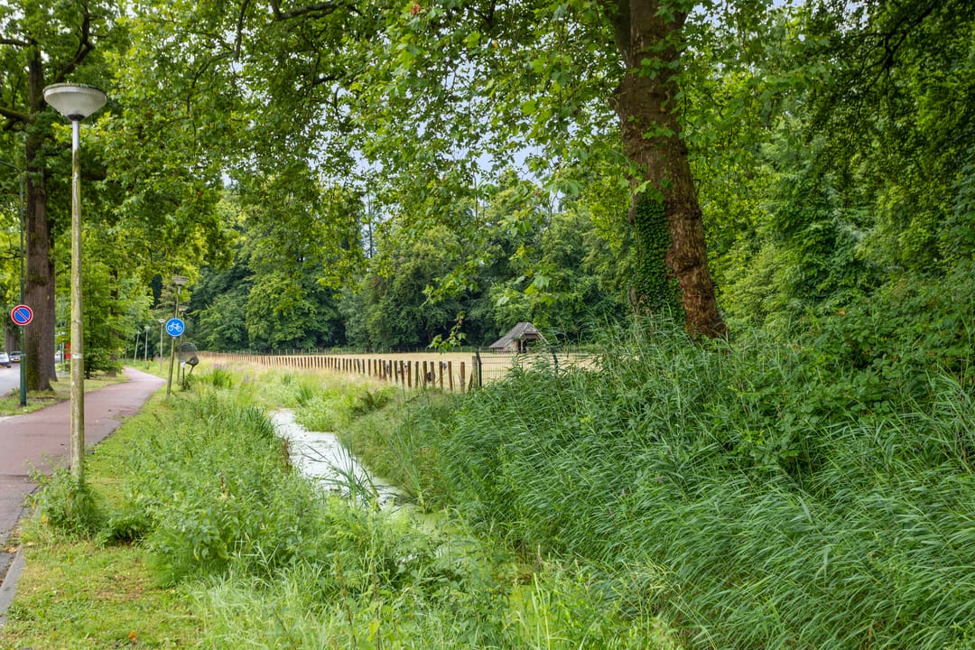 Foto 32 van Randenbroekerweg 164