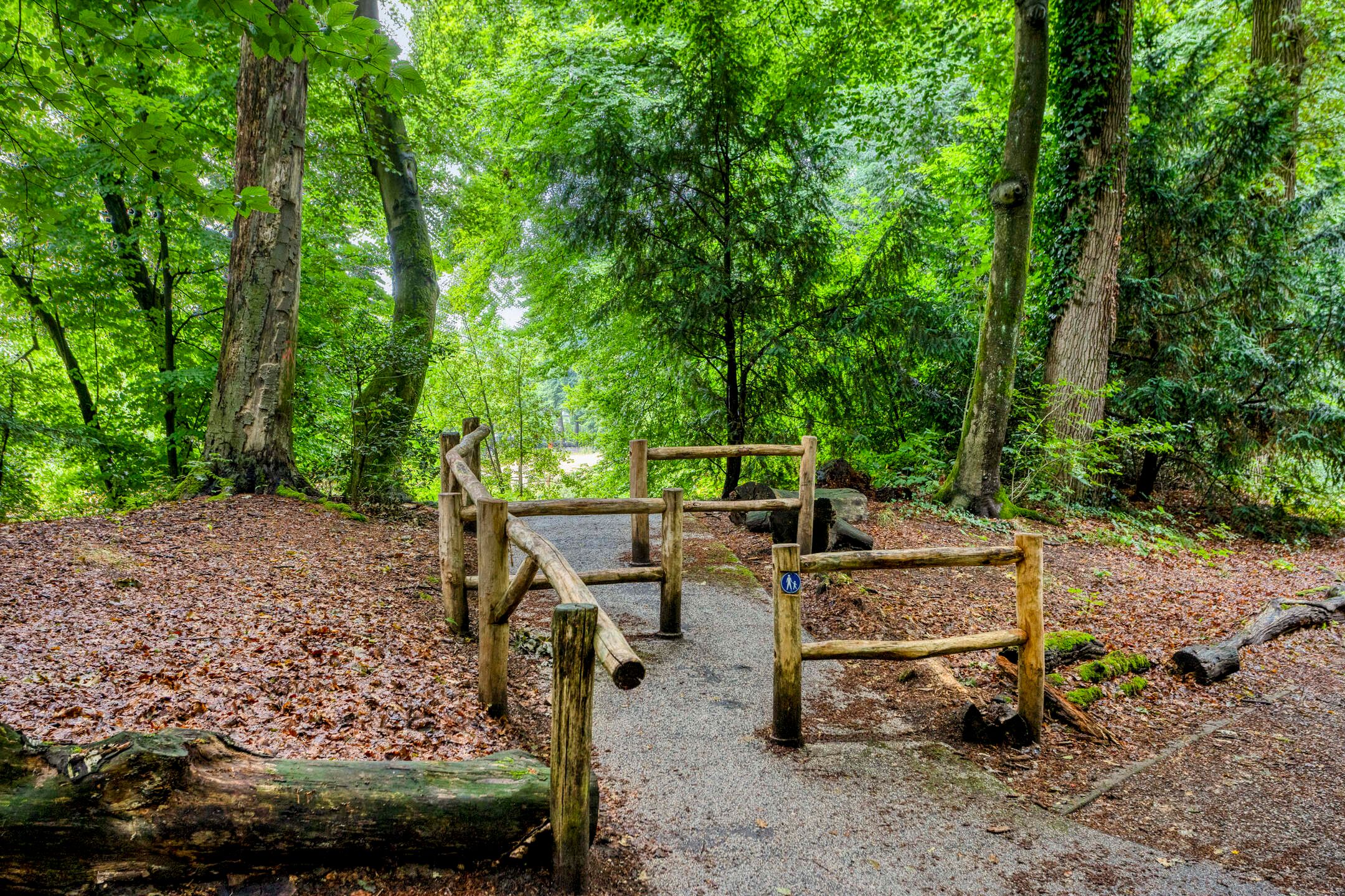 Foto 33 van Randenbroekerweg 164